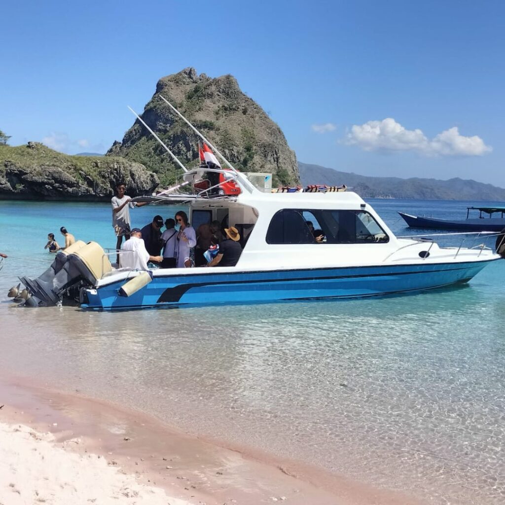 komodo tour,day komodo tour