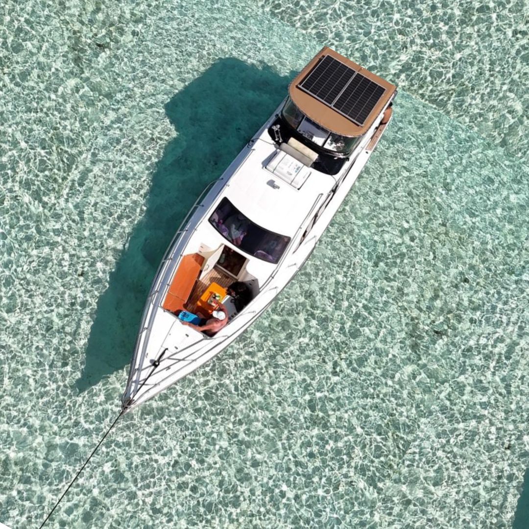 day komodo tour,daily open trip komodo,daily sharing trip,one day komodo tour