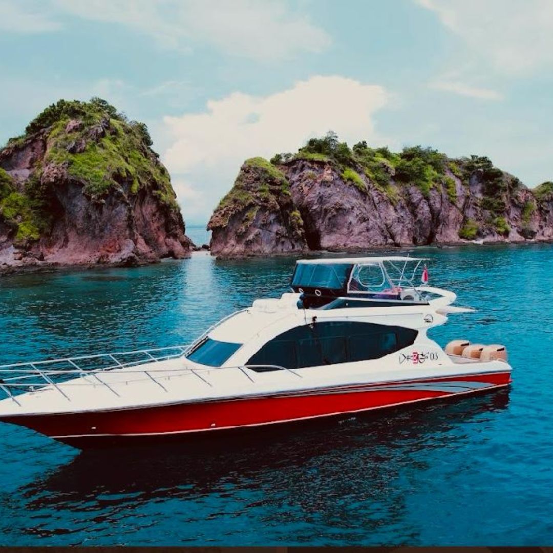 day komodo tour,daily open trip komodo,daily sharing trip,one day komodo tour